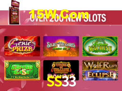 SS33