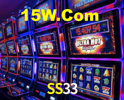 Premium Interface SS33